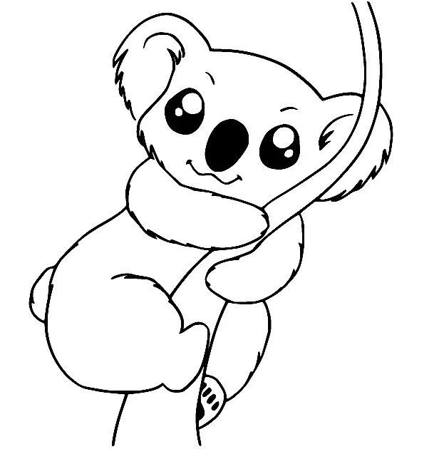 Koala Ausmalbilder 18