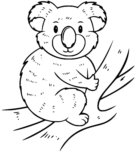 Koala Ausmalbilder 59