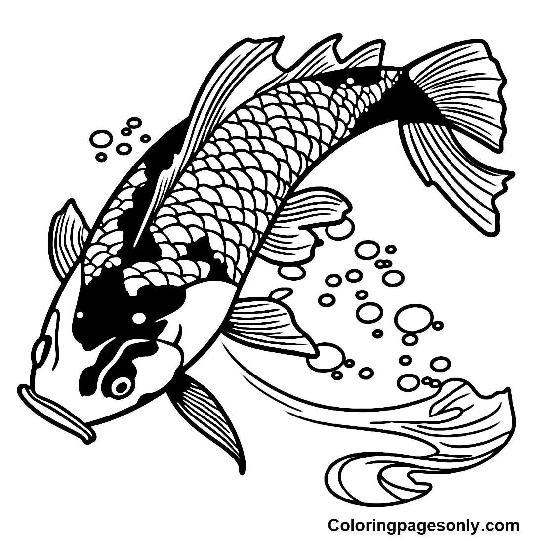 Desenhos de Peixes Koi Para Colorir 13