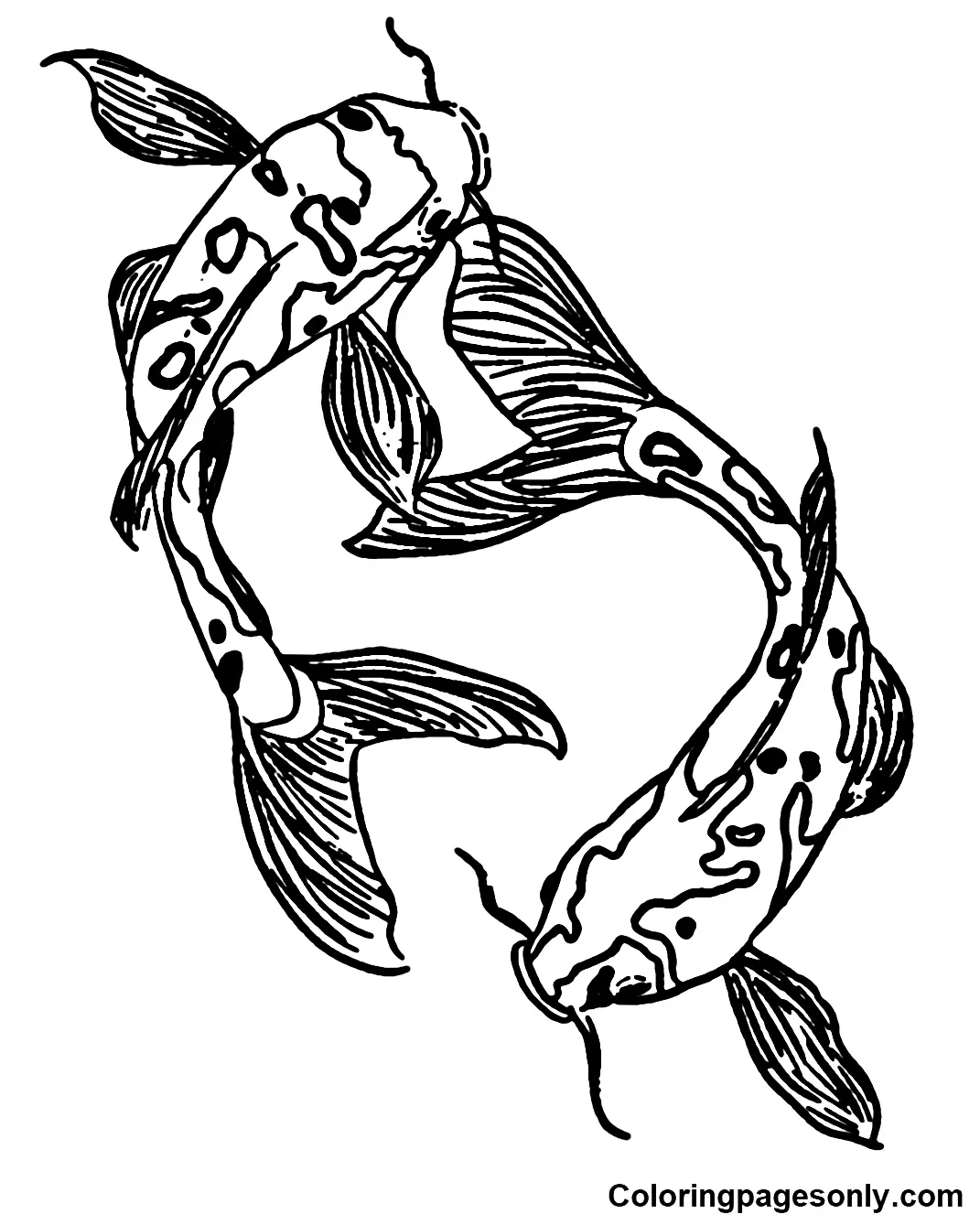 Desenhos de Peixes Koi Para Colorir 19