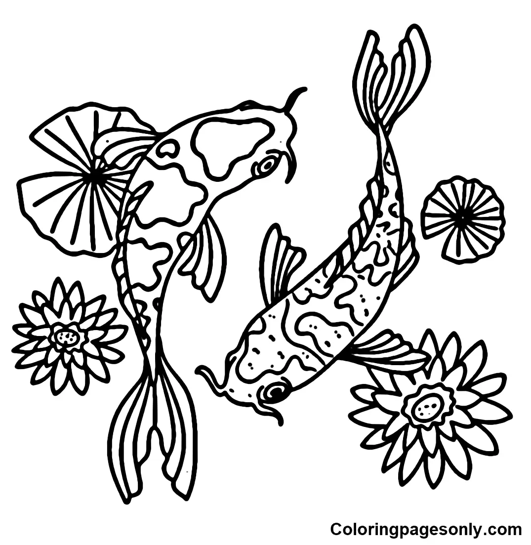 Desenhos de Peixes Koi Para Colorir 26