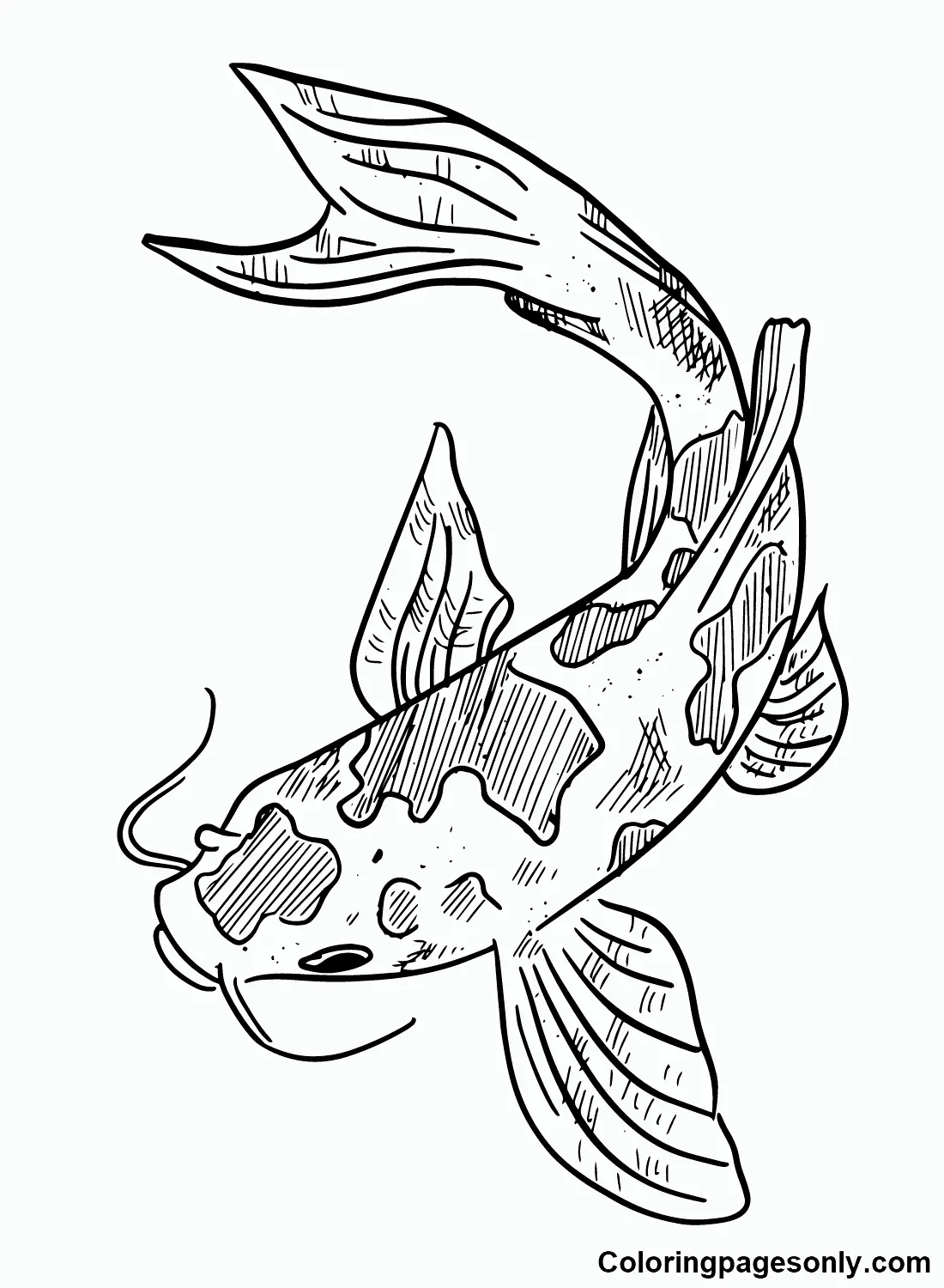 Desenhos de Peixes Koi Para Colorir 6