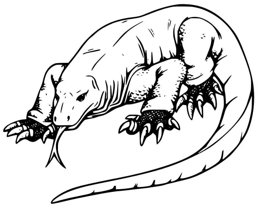 Komodo Dragon Coloring Pages 12