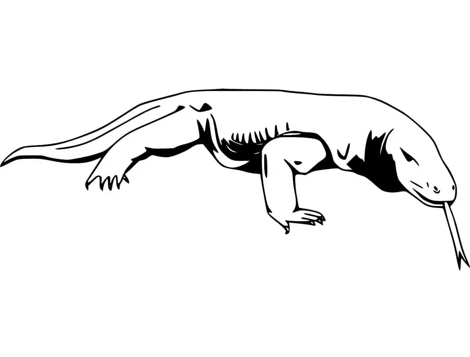 Komodo Dragon Coloring Pages 13
