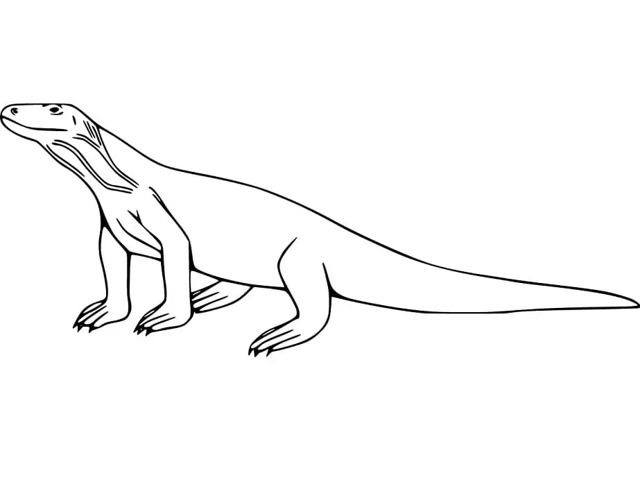 Komodo Dragon Coloring Pages 14