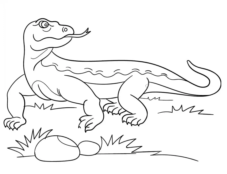 Komodo Dragon Coloring Pages 4