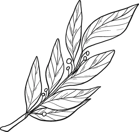 Desenhos de Louro Para Colorir 4