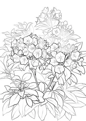 Desenhos de Louro Para Colorir 5