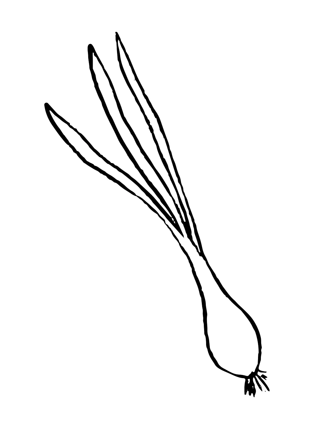 Leek Coloring Pages 11