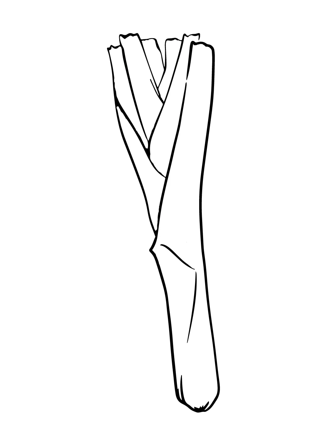 Leek Coloring Pages 23