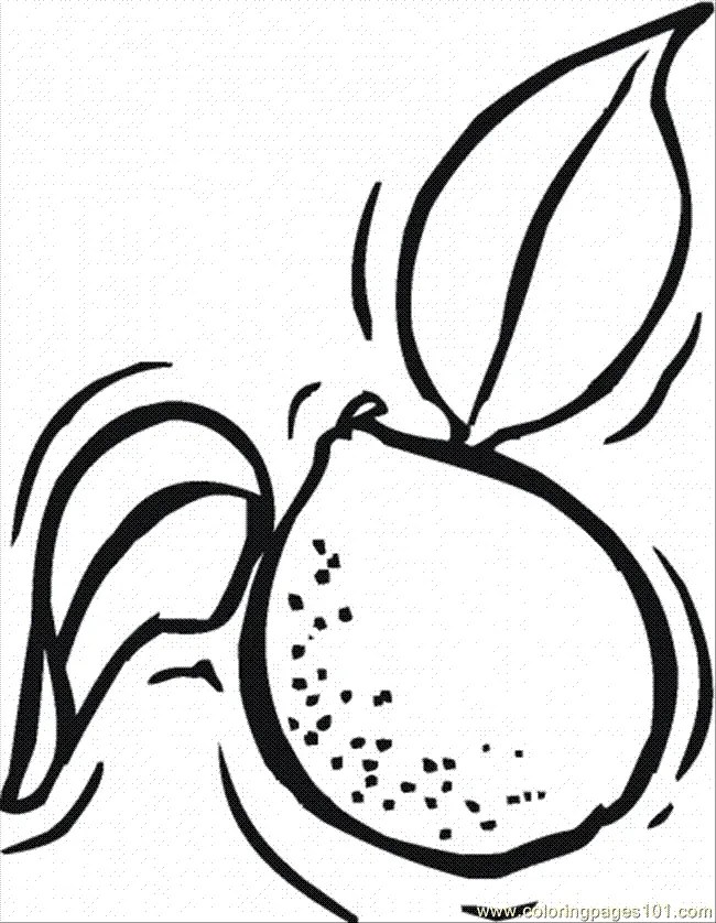Desenhos de Limao Para Colorir 12
