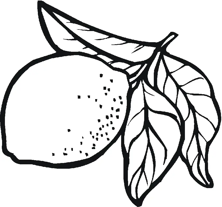 Desenhos de Limao Para Colorir 15