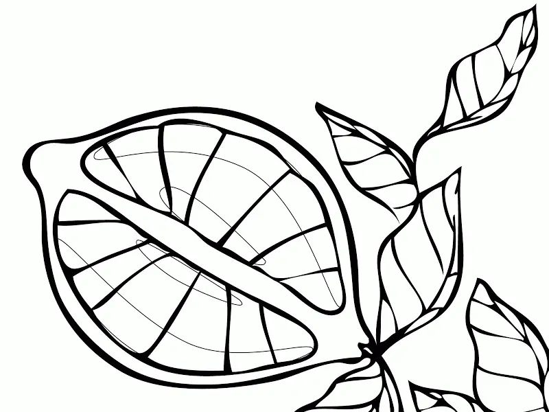 Desenhos de Limao Para Colorir 4
