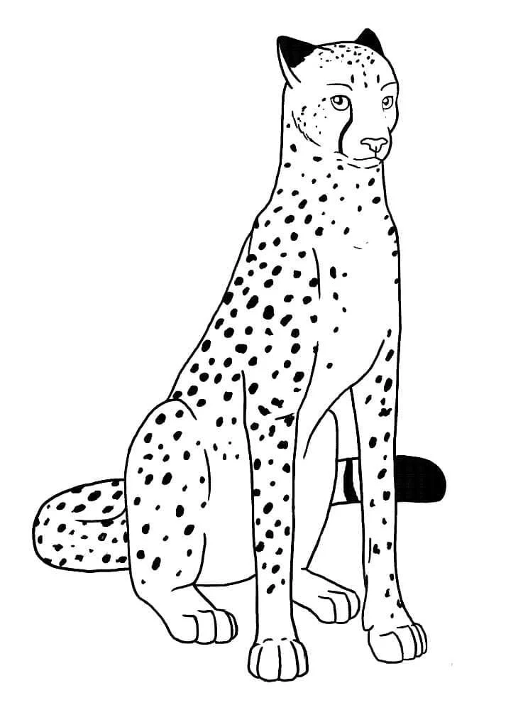 Leopardo Para Colorear 48