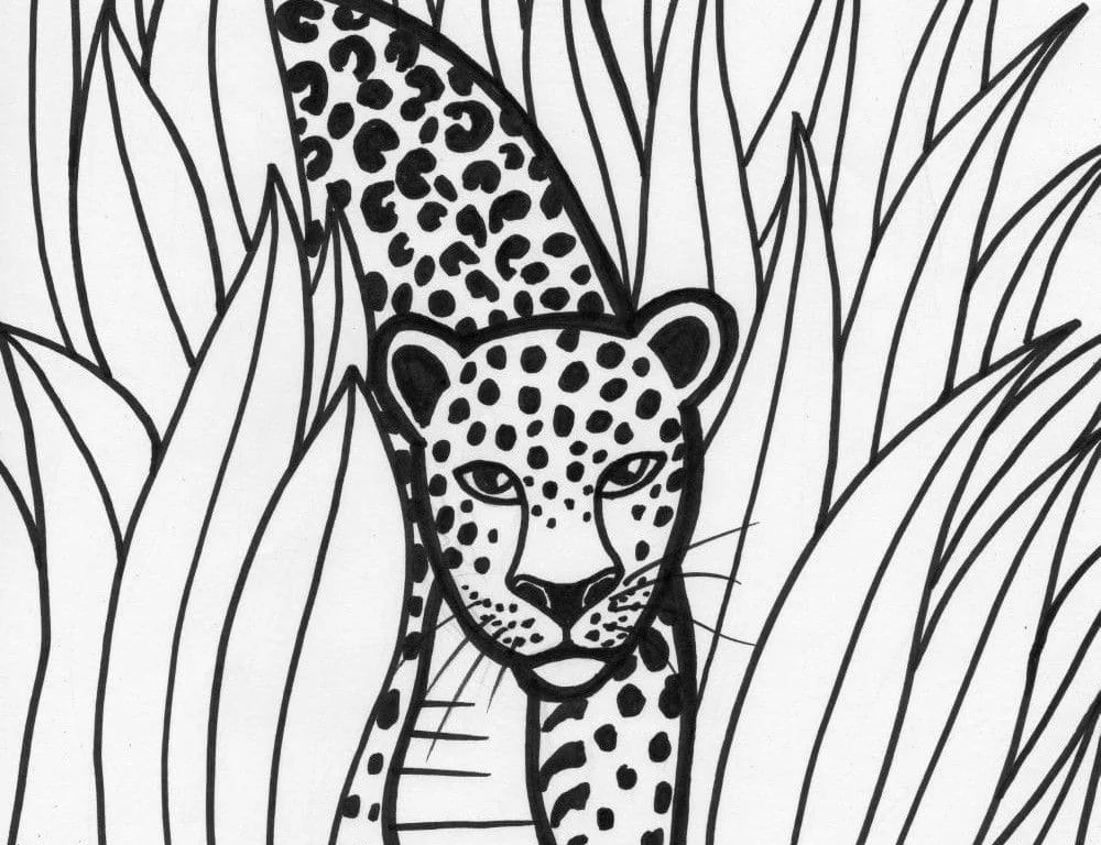 Leopardo Para Colorear 89