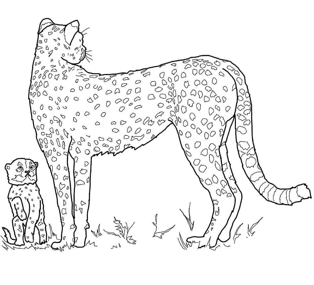 Leopardo Para Colorear 98
