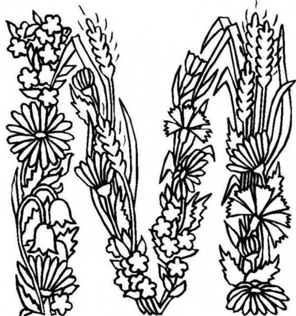 Letter M Coloring Pages 48