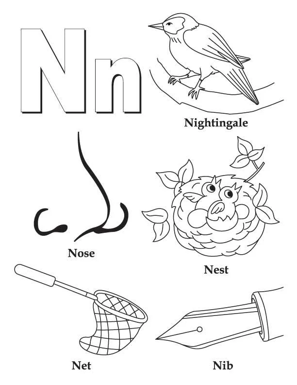 La Letra N Para Colorear 1