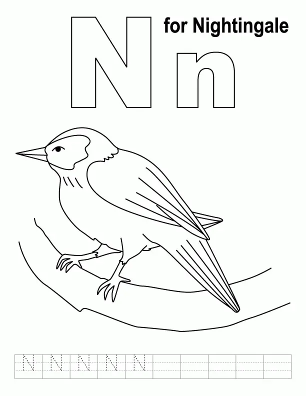 La Letra N Para Colorear 20