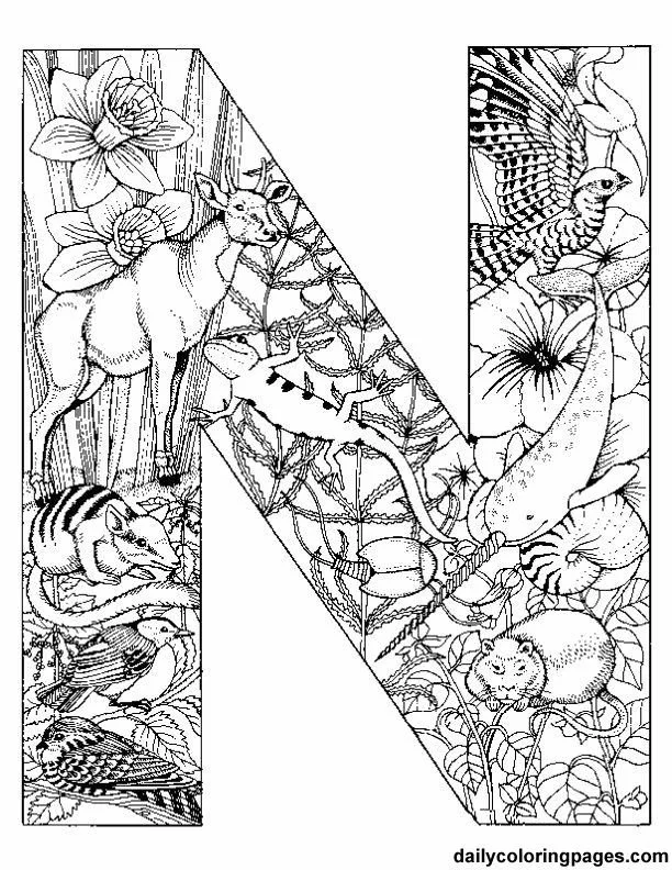 La Letra N Para Colorear 52