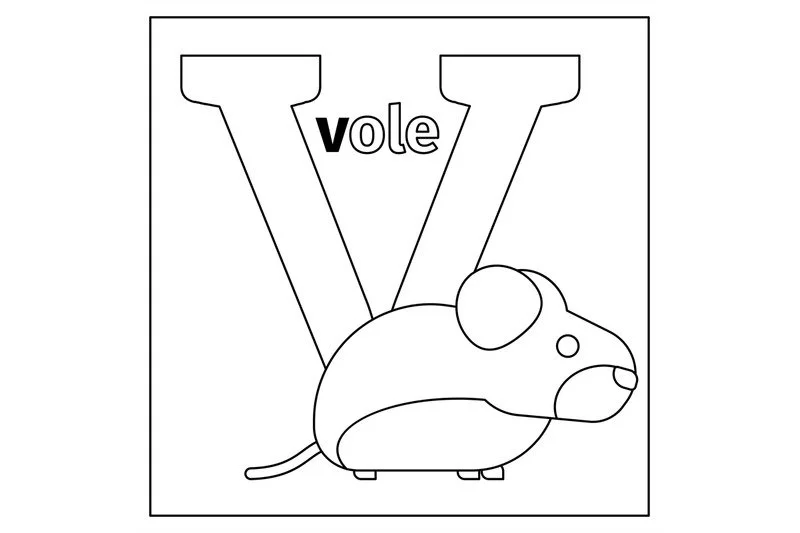 Desenhos de Letra V Para Colorir 48
