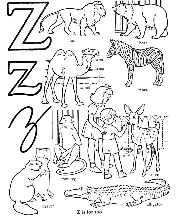 Buchstabe Z Ausmalbilder 7