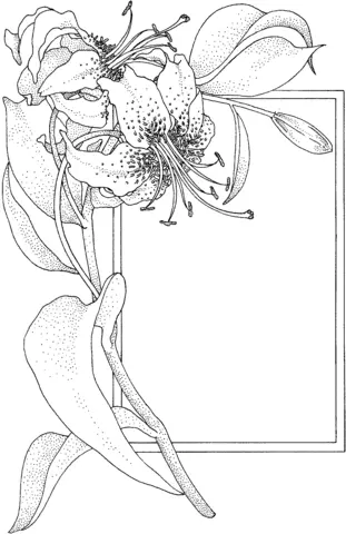 Desenhos de Lirios Para Colorir 21