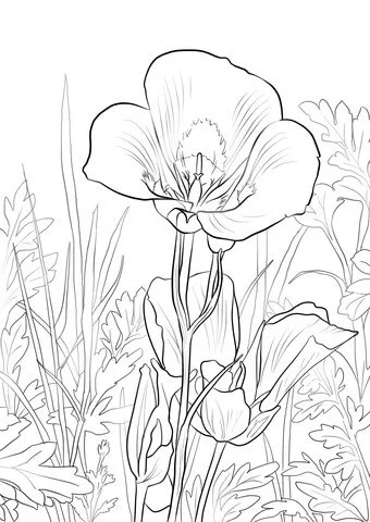 Desenhos de Lirios Para Colorir 26
