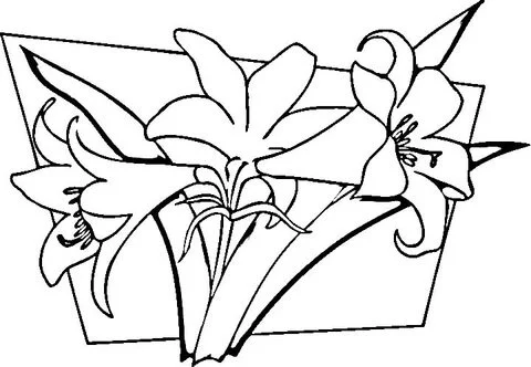 Desenhos de Lirios Para Colorir 31