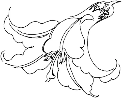 Desenhos de Lirios Para Colorir 37