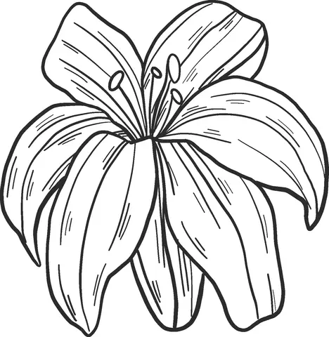 Desenhos de Lirios Para Colorir 38
