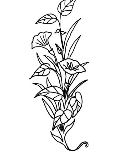 Desenhos de Lirios Para Colorir 39