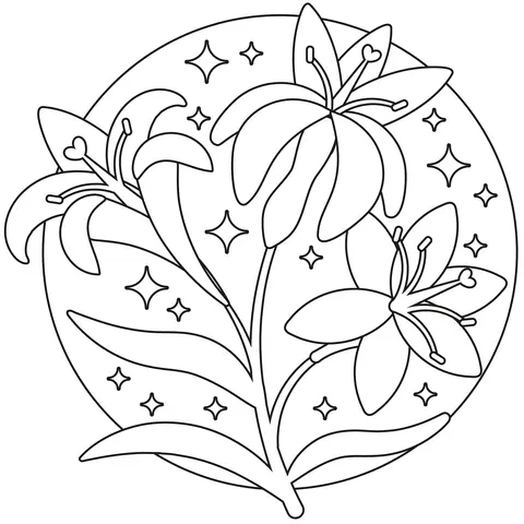 Desenhos de Lirios Para Colorir 43
