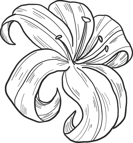 Desenhos de Lirios Para Colorir 47