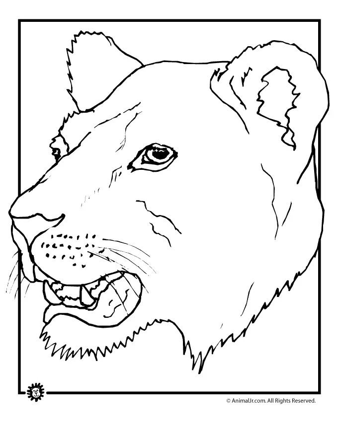 Lion Coloring Pages 129