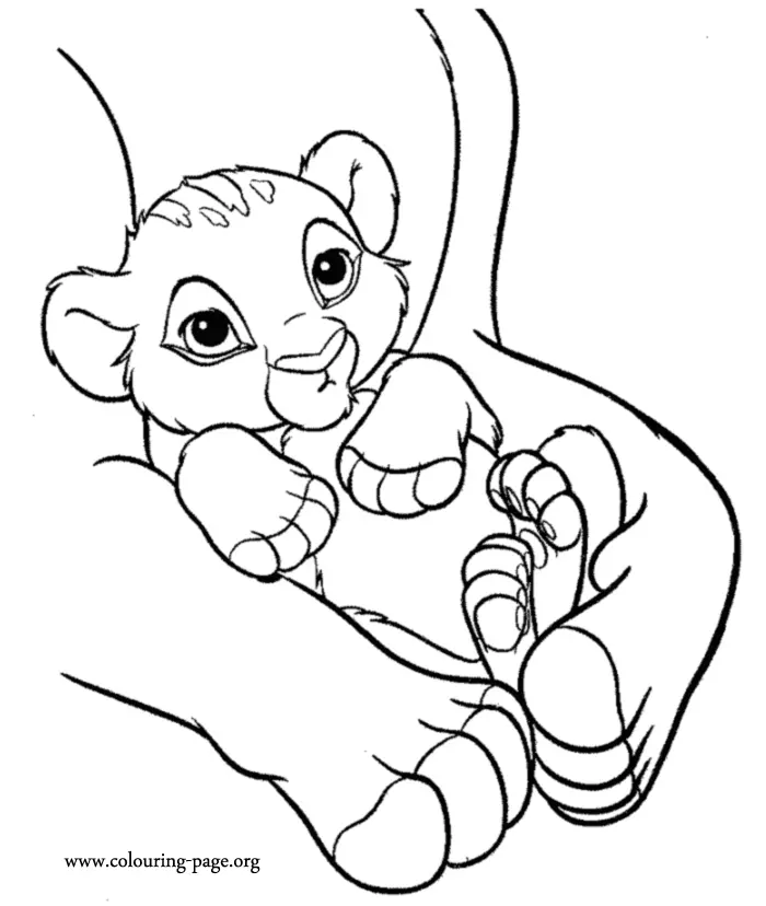 Lion Coloring Pages 134