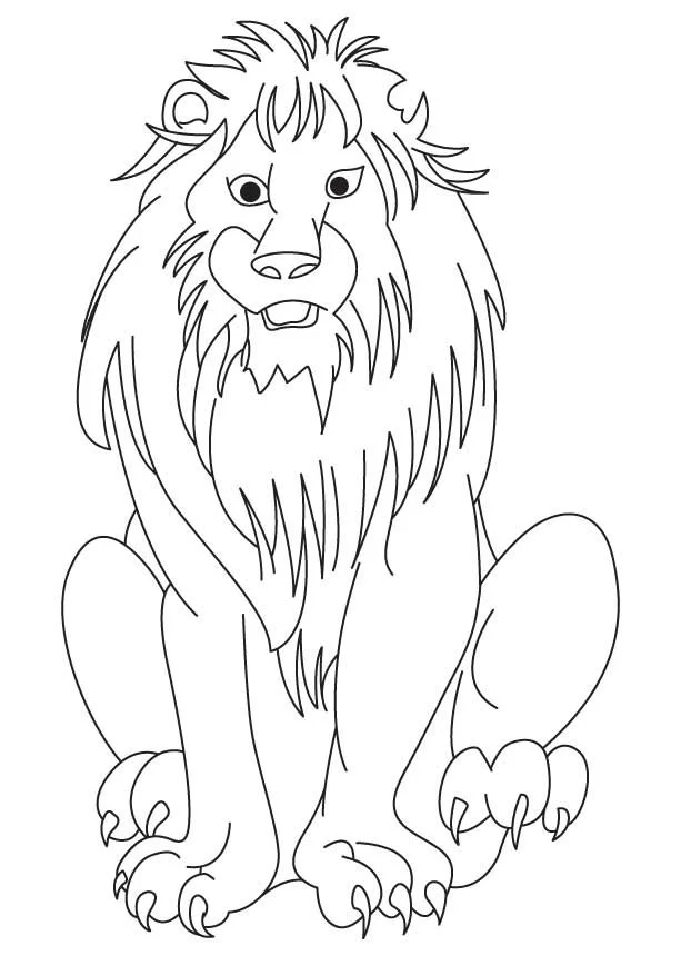 Lion Coloring Pages 141