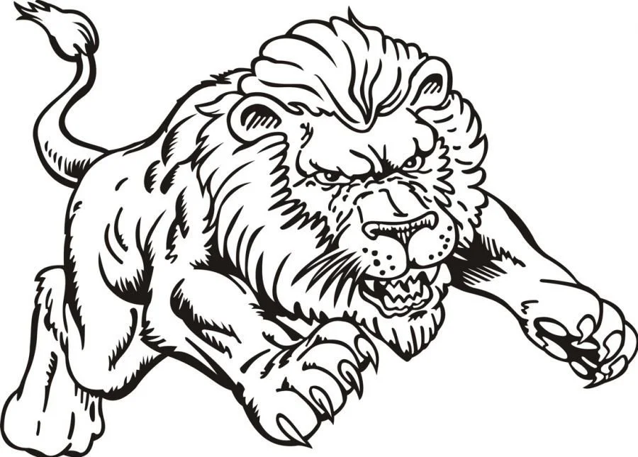 Lion Coloring Pages 20