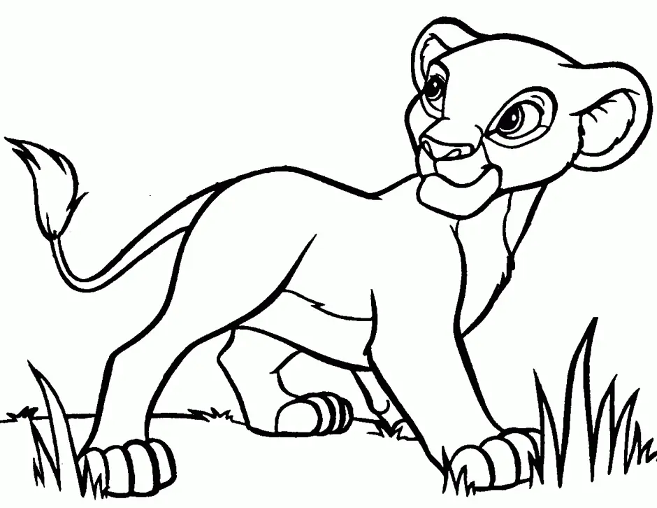 Lion Coloring Pages 50