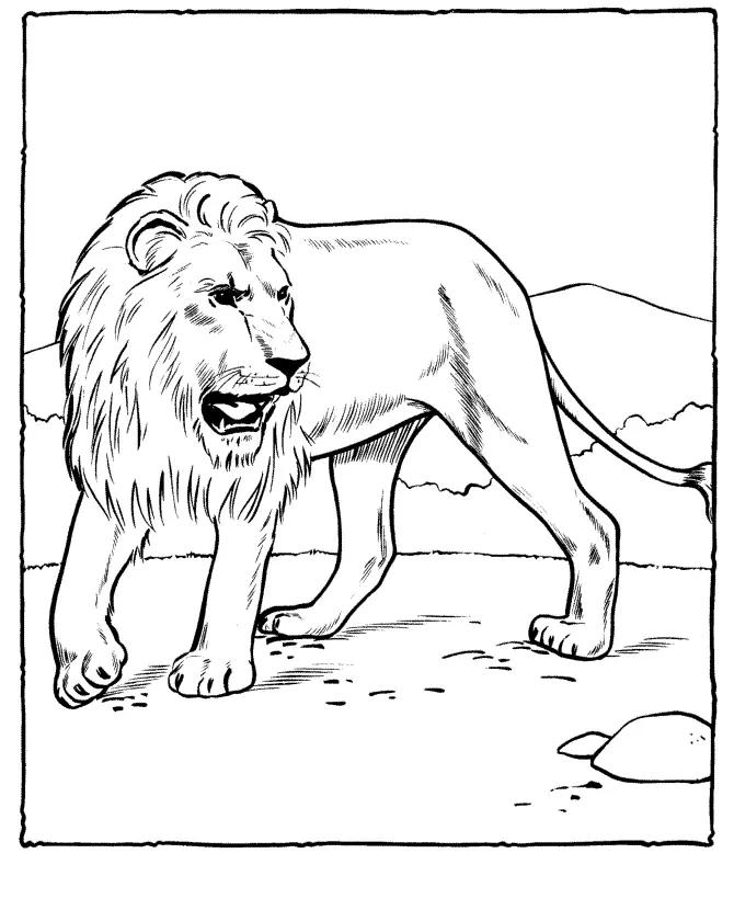 Lion Coloring Pages 68