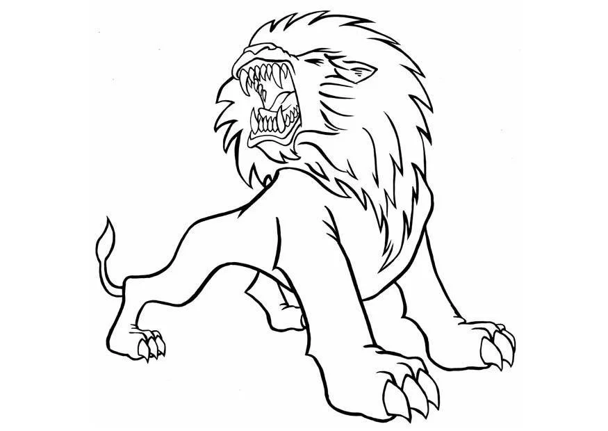 Lion Coloring Pages 69