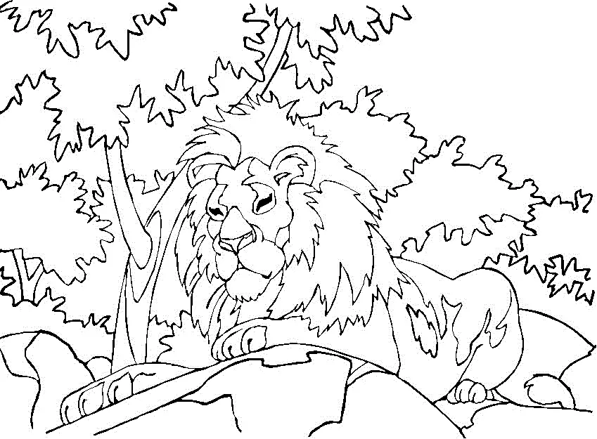 Lion Coloring Pages 78