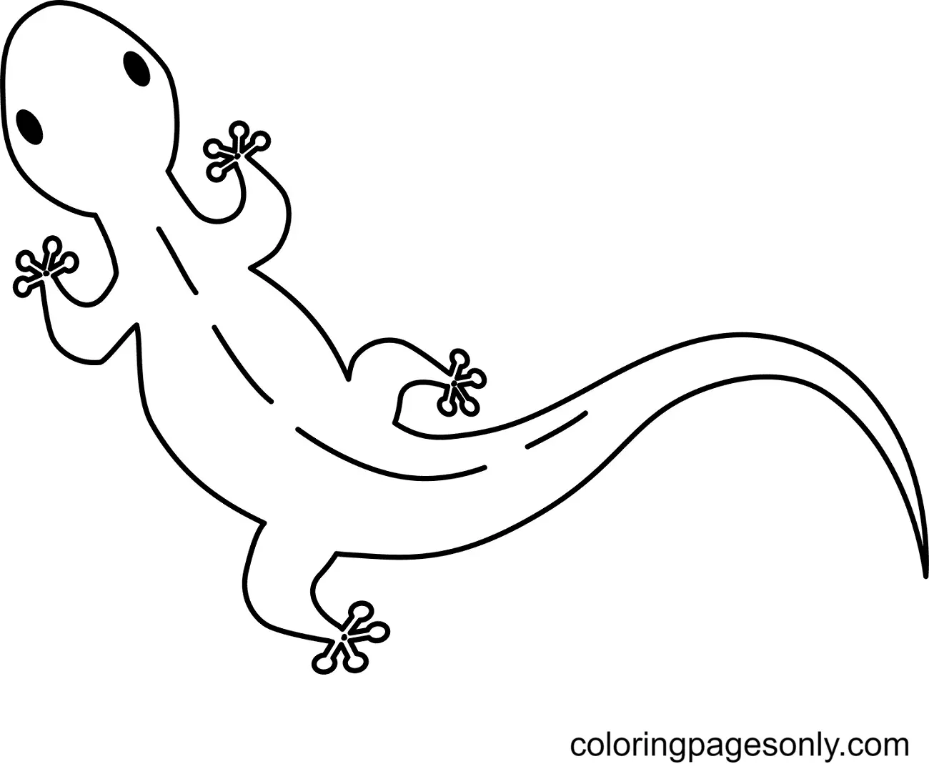 Desenhos de Lagarto Para Colorir 19
