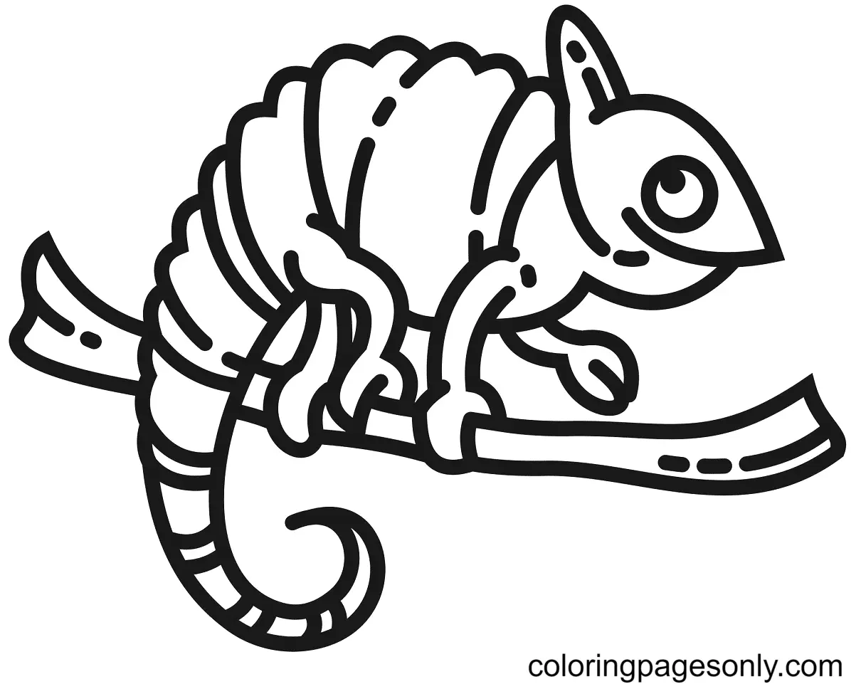 Desenhos de Lagarto Para Colorir 5