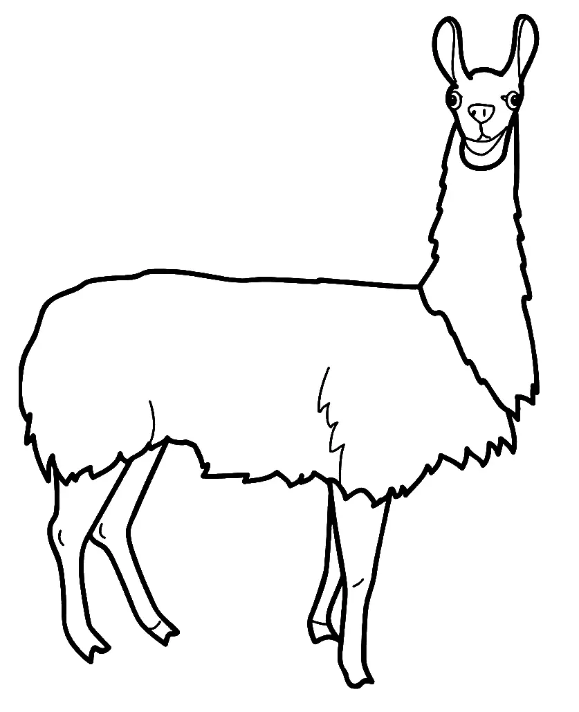 Llama Coloring Pages 34
