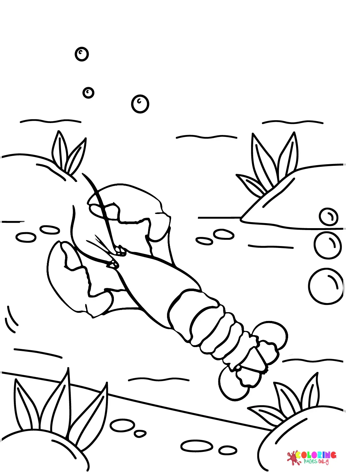 Langosta Para Colorear 13
