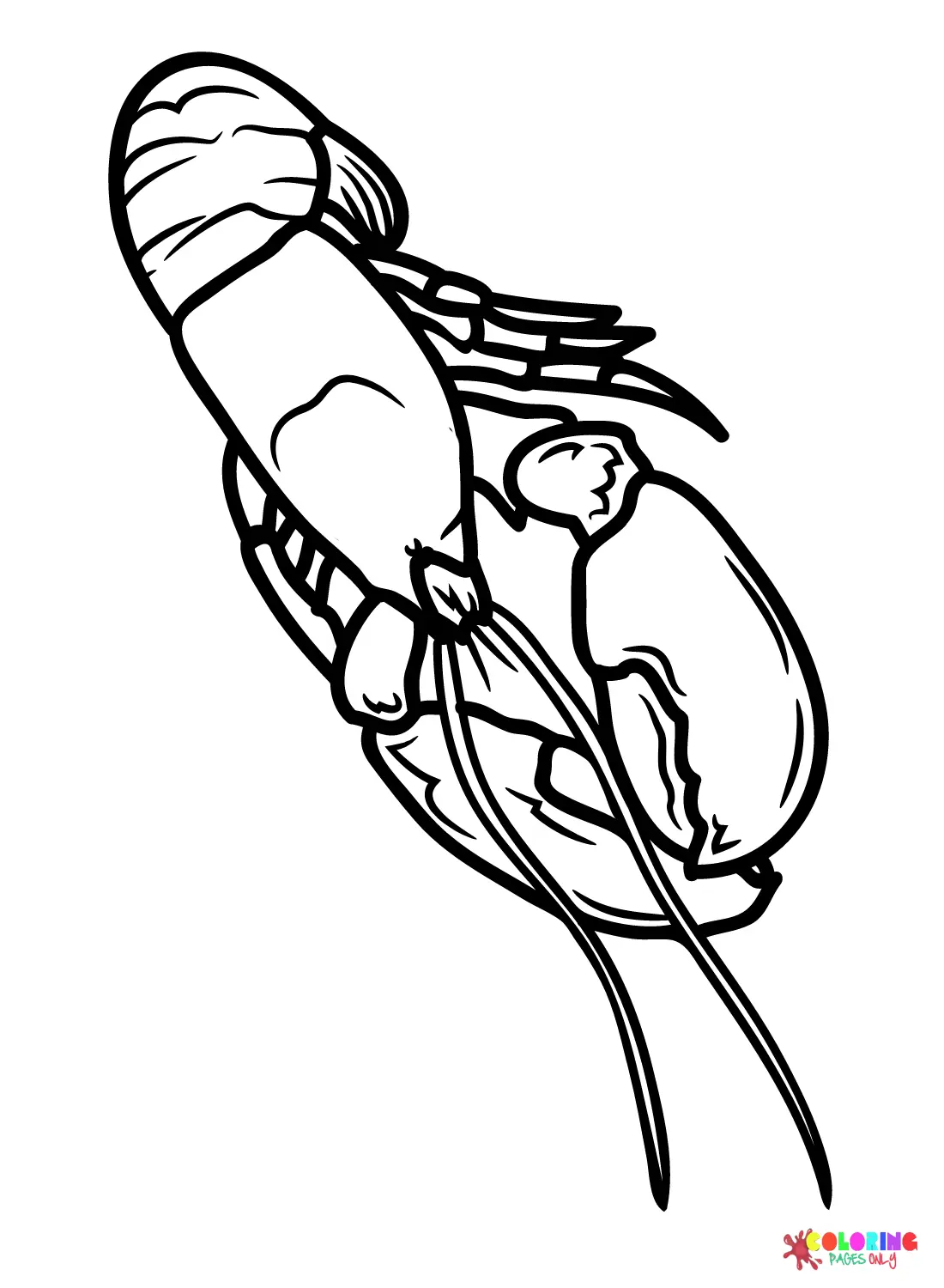 Langosta Para Colorear 14