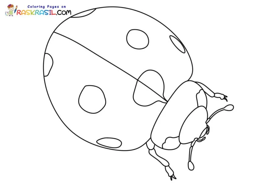 Lucky Charms Coloring Pages 13