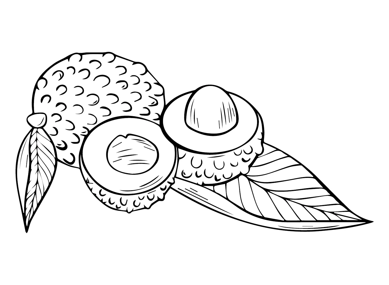 Lychee Coloring Pages 23