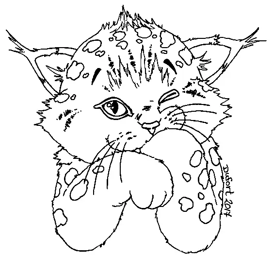 Lynx Coloring Pages 36